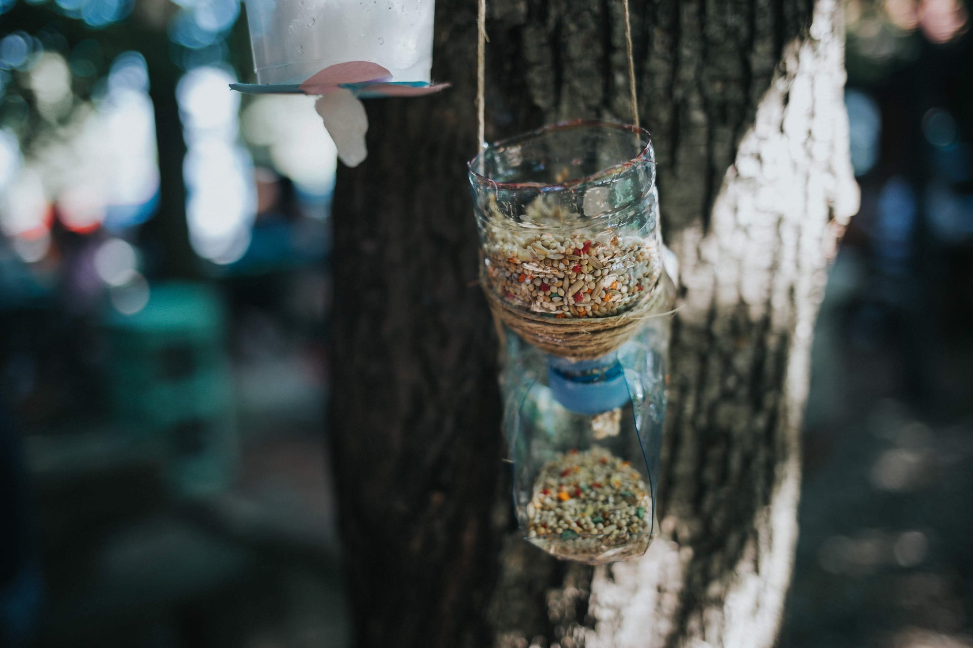 ⁠DIY Bird Feeder with Eggshells