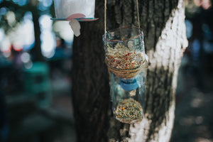 ⁠DIY Bird Feeder with Eggshells